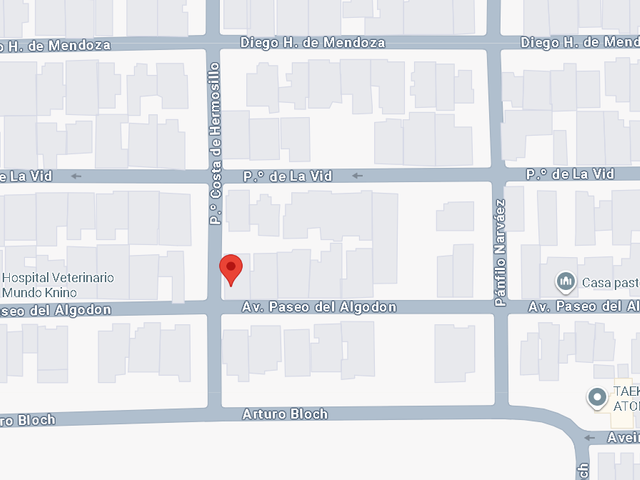 place photo 7