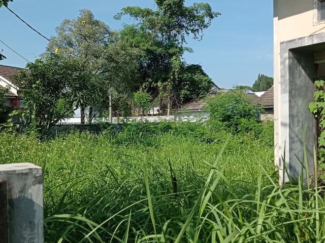place photo 12