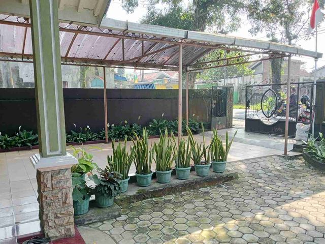 place photo 4