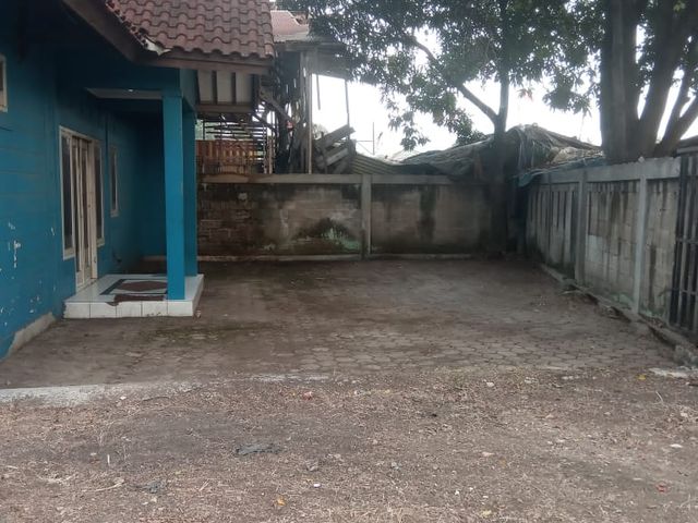 place photo 6
