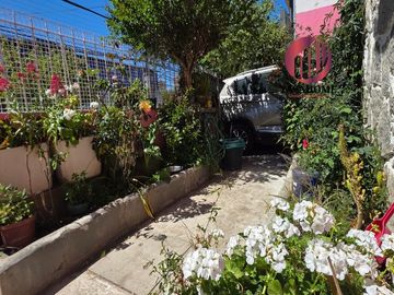 place photo 22