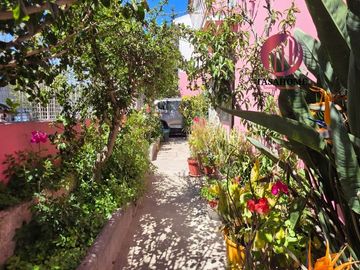 place photo 23
