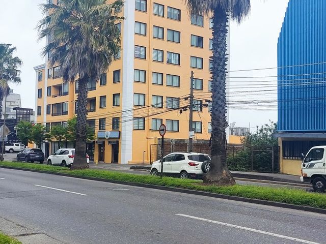 place photo 20