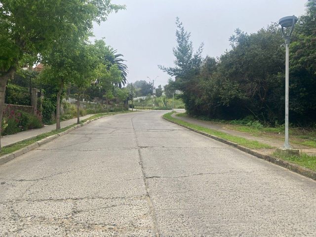 place photo 46