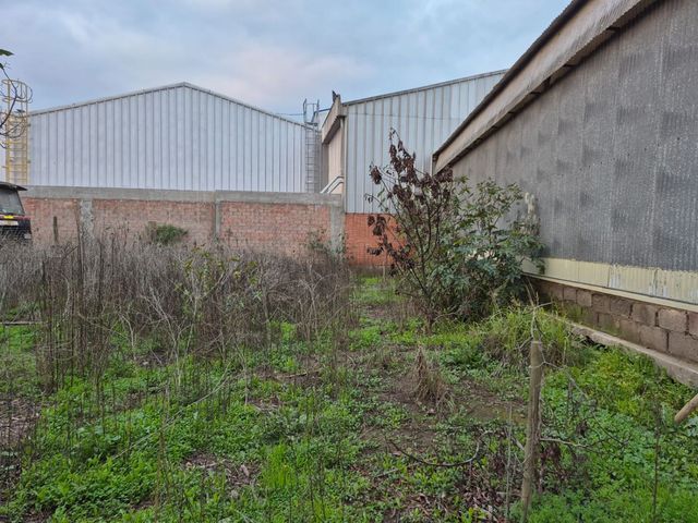 place photo 25