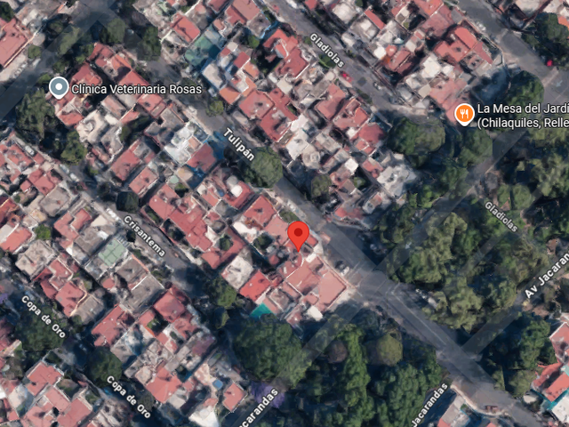 place photo 13