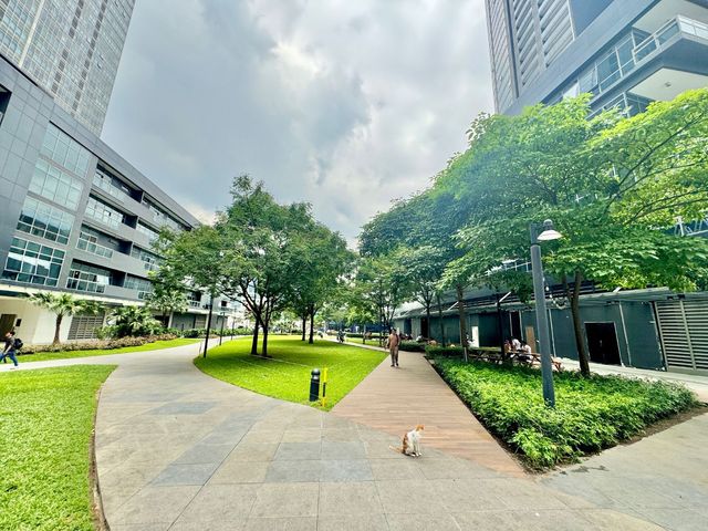 place photo 20