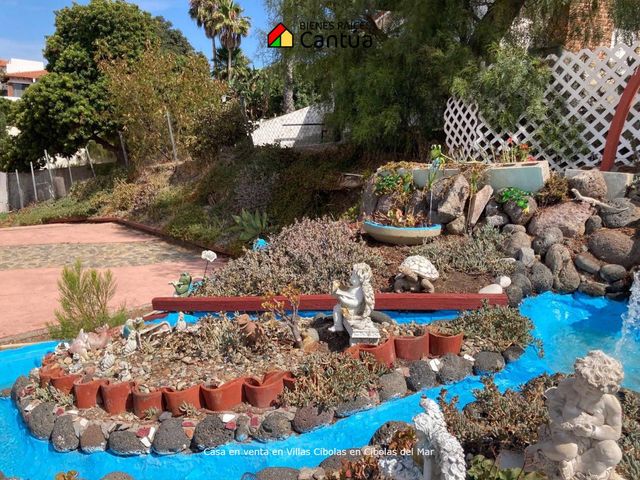 place photo 29