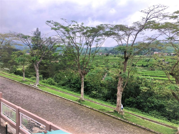 place photo 31