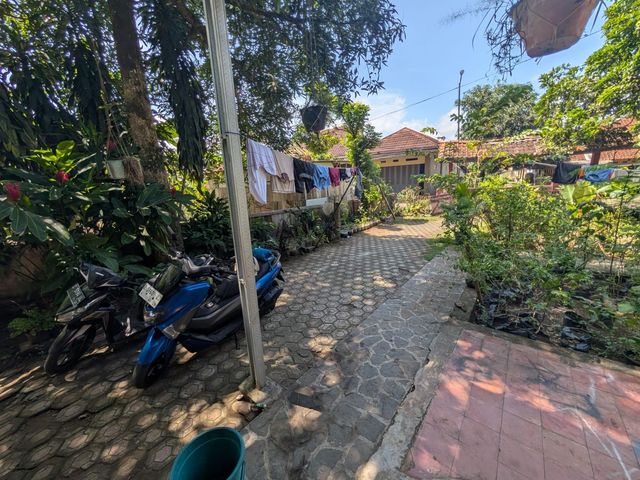 place photo 15