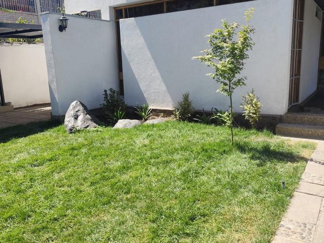 place photo 57