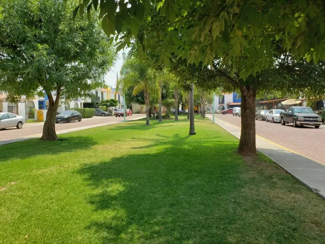 place photo 19