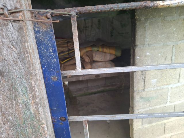 place photo 16