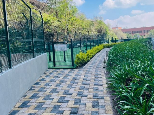 place photo 19