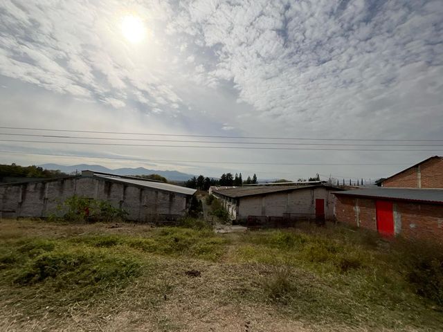 place photo 24