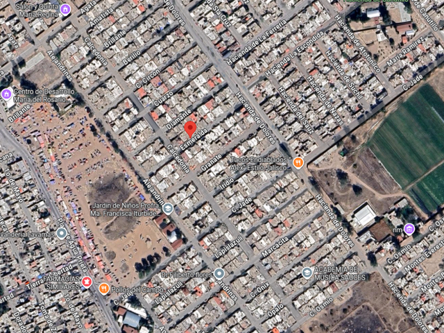 place photo 7