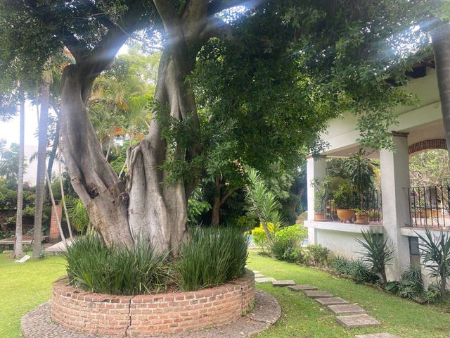 place photo 41