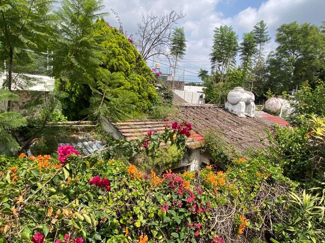 place photo 42