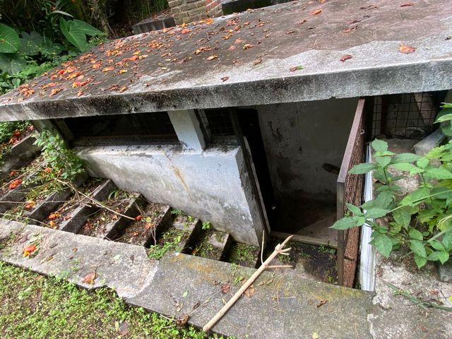 place photo 46