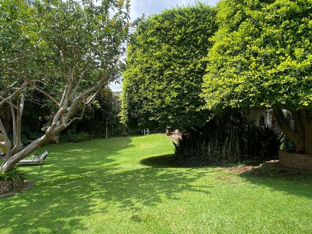 place photo 36
