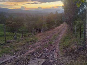place photo 38