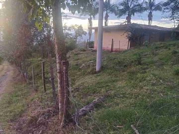 place photo 43