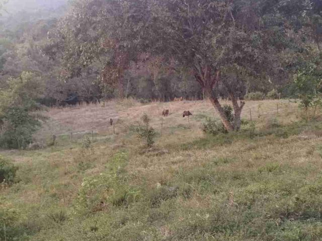 place photo 47