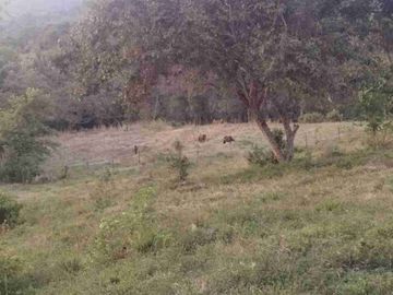place photo 47
