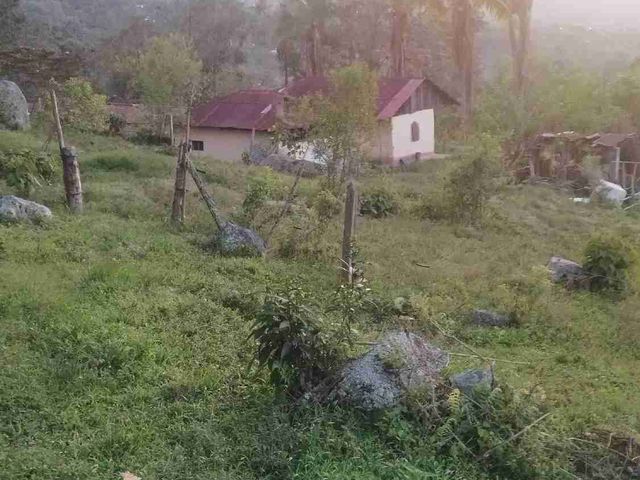 place photo 41