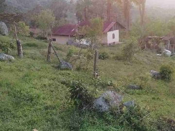 place photo 41