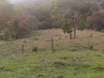 place photo 45