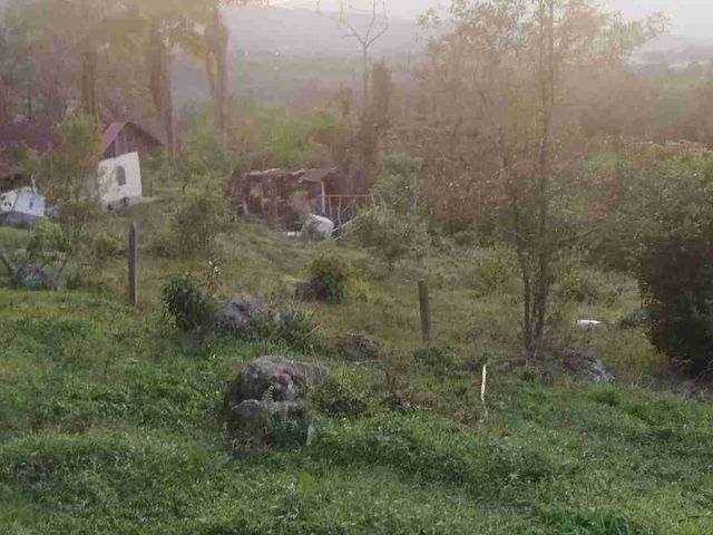 place photo 46