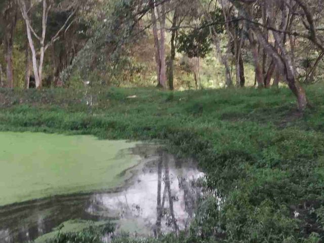 place photo 35