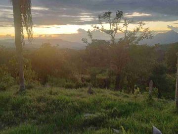 place photo 44