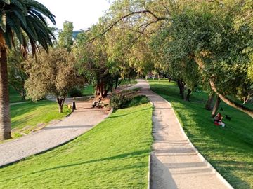 place photo 19