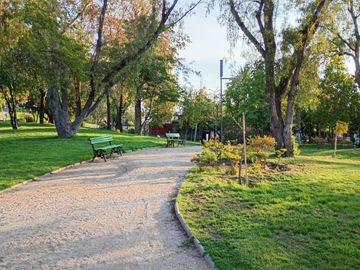 place photo 20
