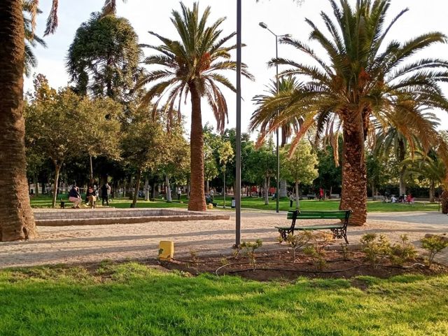 place photo 21