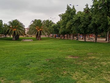 place photo 23