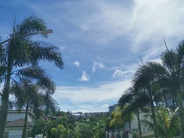 place photo 39
