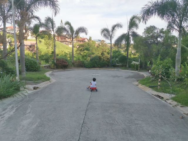 place photo 39