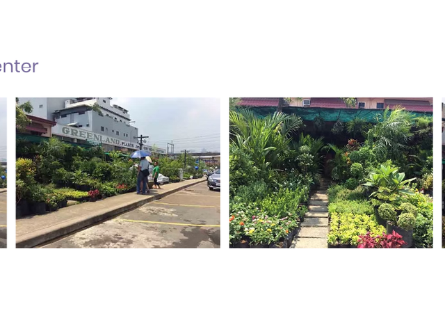 place photo 41