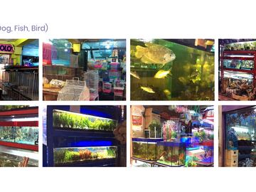 place photo 42