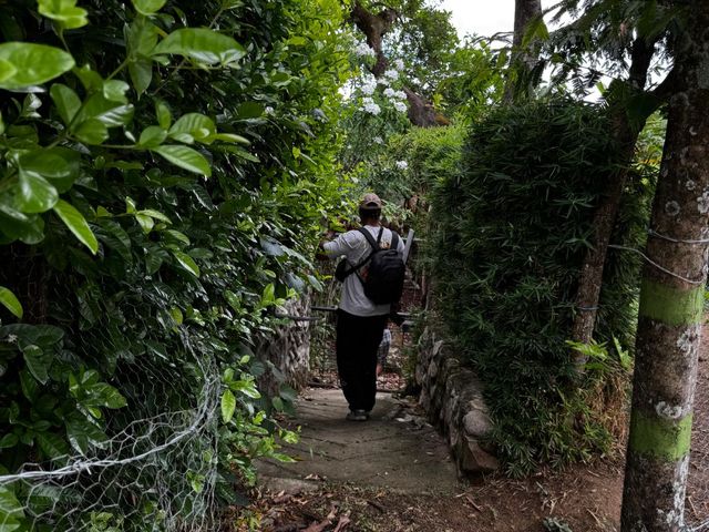 place photo 34