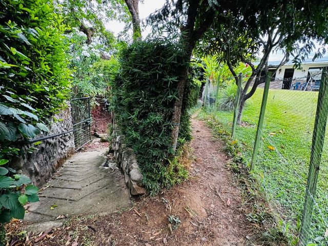 place photo 36