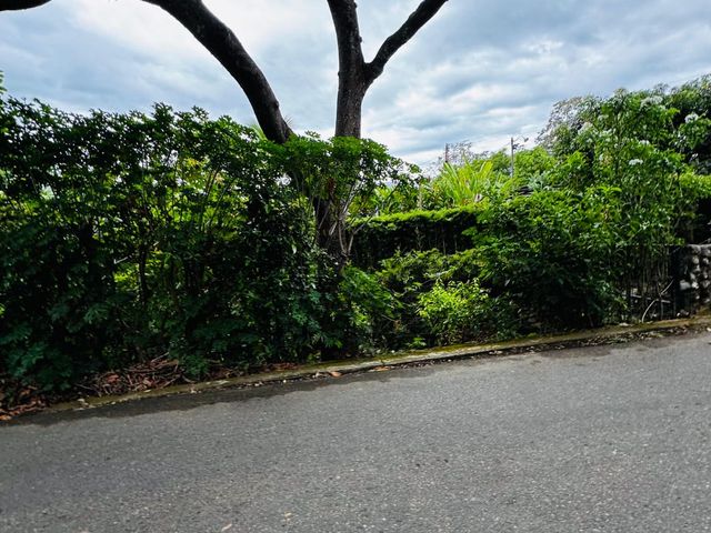 place photo 40