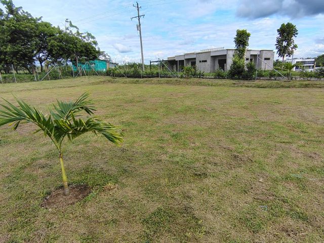 place photo 41