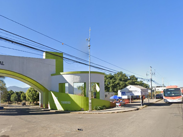 place photo 16