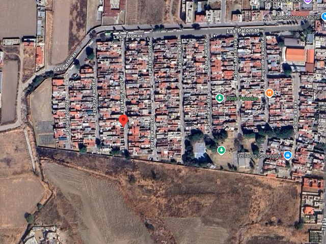 place photo 7