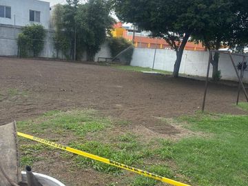 place photo 43