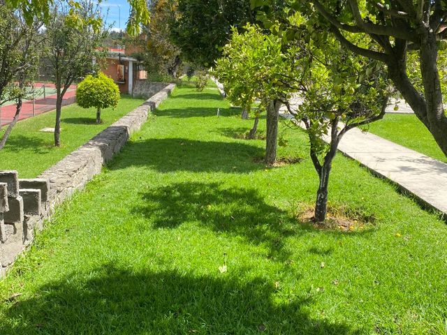 place photo 56